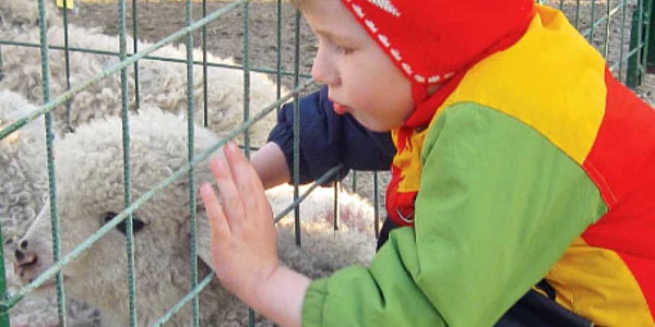 Andreea a fost adusă de părinţi la Târgul de miei din Apărătorii Patriei să se joace cu animalele