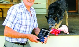 CLIIMA20091102 0229 1 jpeg