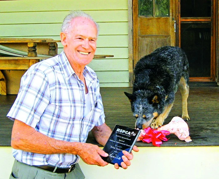 
    Căţeluşa Teka a fost premiată pentru că şi-a salvat stăpânul  