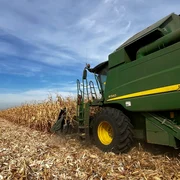 recoltare porumb dolj   foto directia agricola dolj (1) jpeg