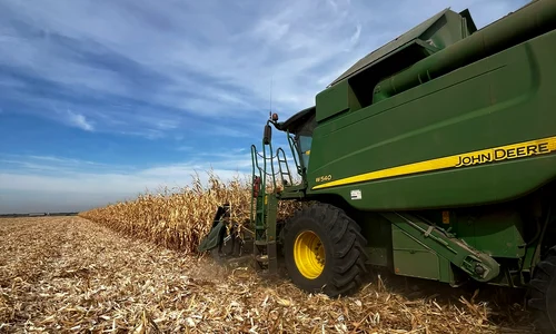 recoltare porumb dolj   foto directia agricola dolj (1) jpeg