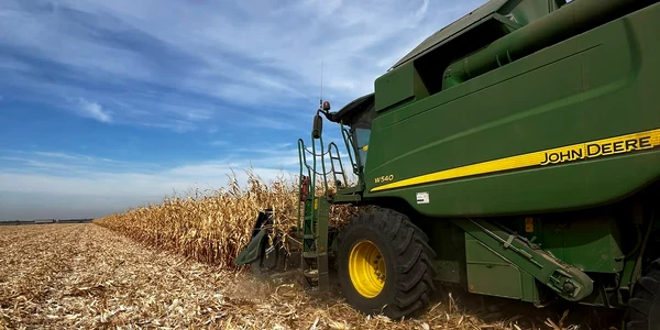 recoltare porumb dolj   foto directia agricola dolj (1) jpeg
