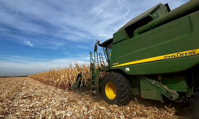 recoltare porumb dolj foto directia agricola dolj (1) jpeg