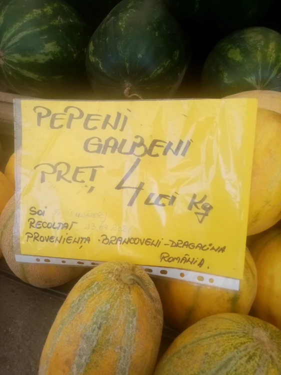 calarasi cei mai gustosi pepeni galbeni FOTO I.S.
