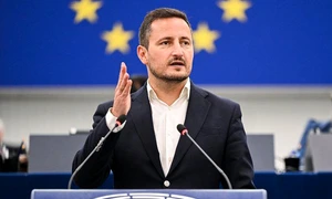 nicu ștefănuță jpg