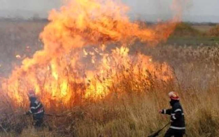 Incendiul a mistuit 5.000 de metri pătraţi de vegetaţie.