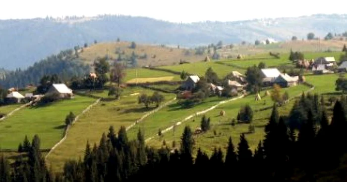 Cluj: Cabane de munte făcute scrum, la Mărişel