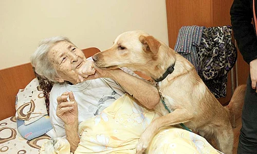 Rici a sărit să se joace cu tanti Eugenia  Şi a primit biscuiţi jpeg