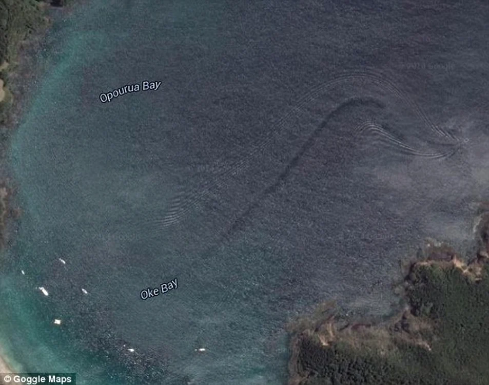 
    Urma lăsată în apă l-a uimit pe bărbatFoto: Google Earth  