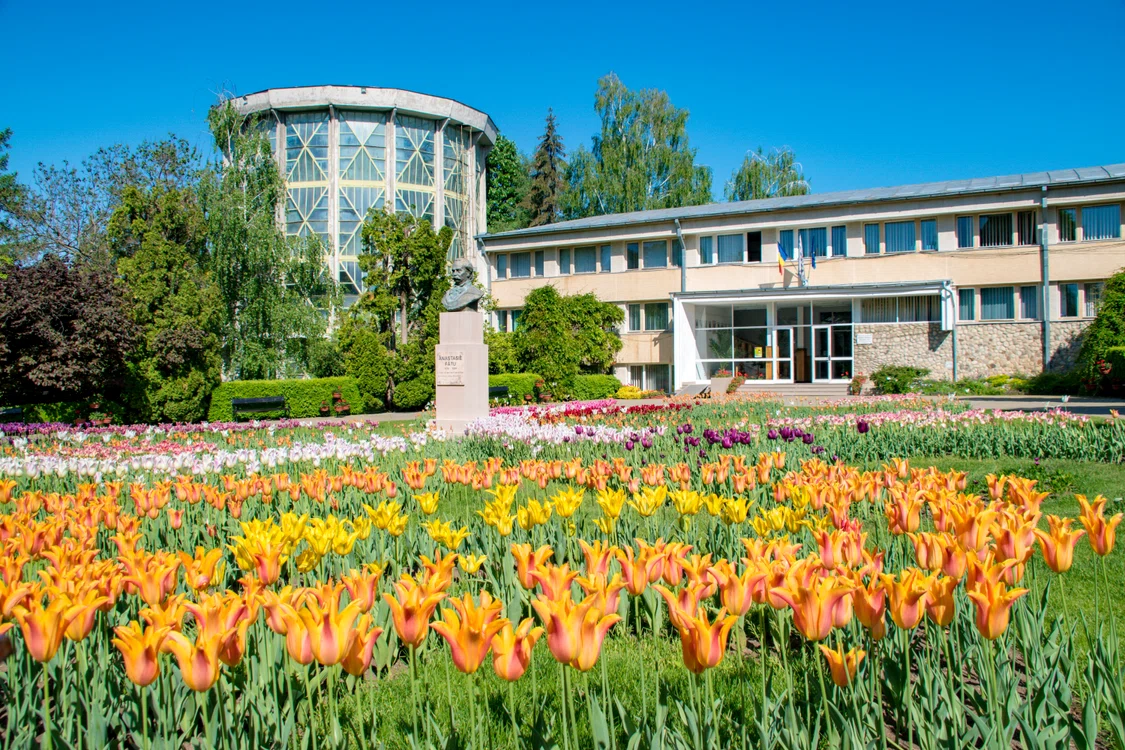 Gradina Botanica Iasi FOTO Shutterstock