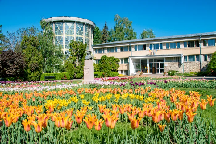 Gradina Botanica Iasi FOTO Shutterstock
