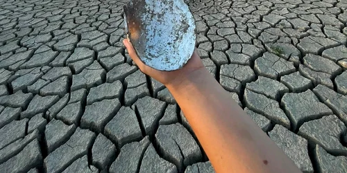 766799298 1462156062601331 3927593079598822595 n jpg
