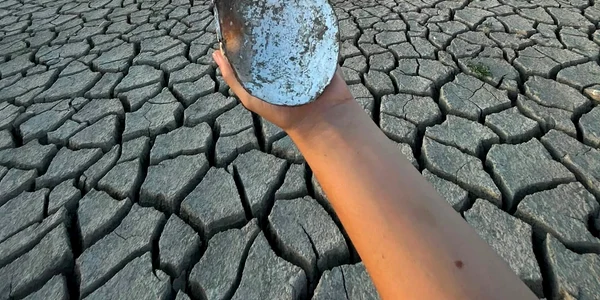 766799298 1462156062601331 3927593079598822595 n jpg