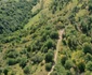 Noi descoperiri arheologice la Turnul roman de la Valea Negrilești 
