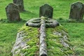 mormant robin hood padure jpg