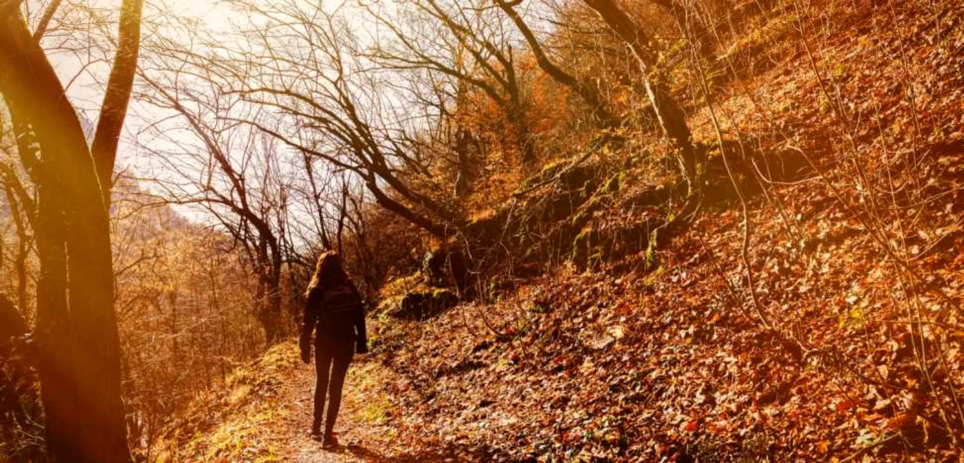 Imagine din Parcul Naţional Domogled-Valea Cernei FOTO 123 RF