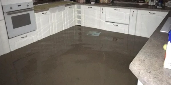 Inundatii Faget FOTO ISU