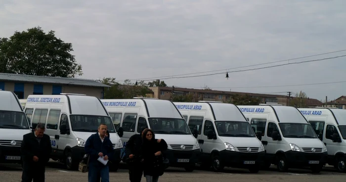 Arad: Linii de transport public pentru cartiere