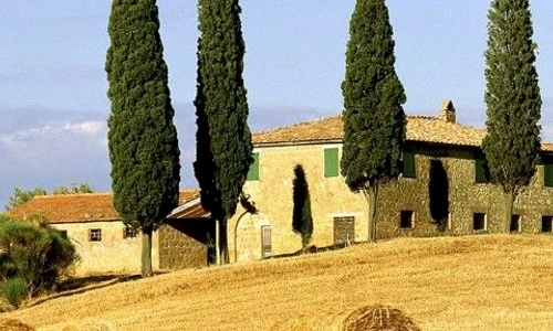 8048e95a8e7a3884daed7c756159d8f7 jpeg