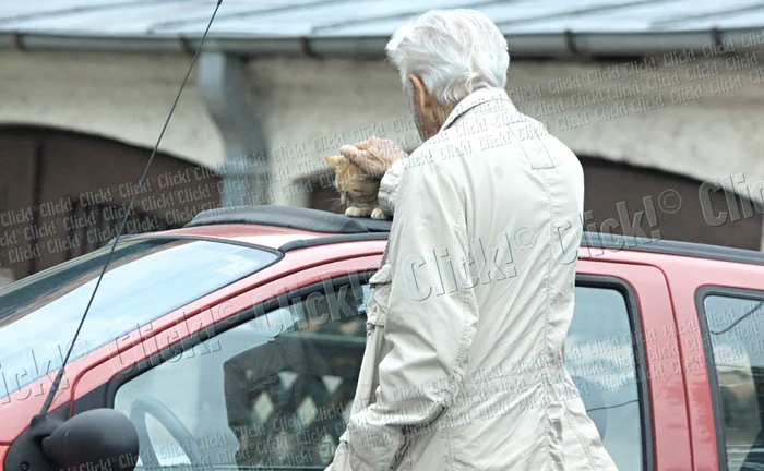 Regizorul a mângâiat cu drag o pisicuţă de pe stradă