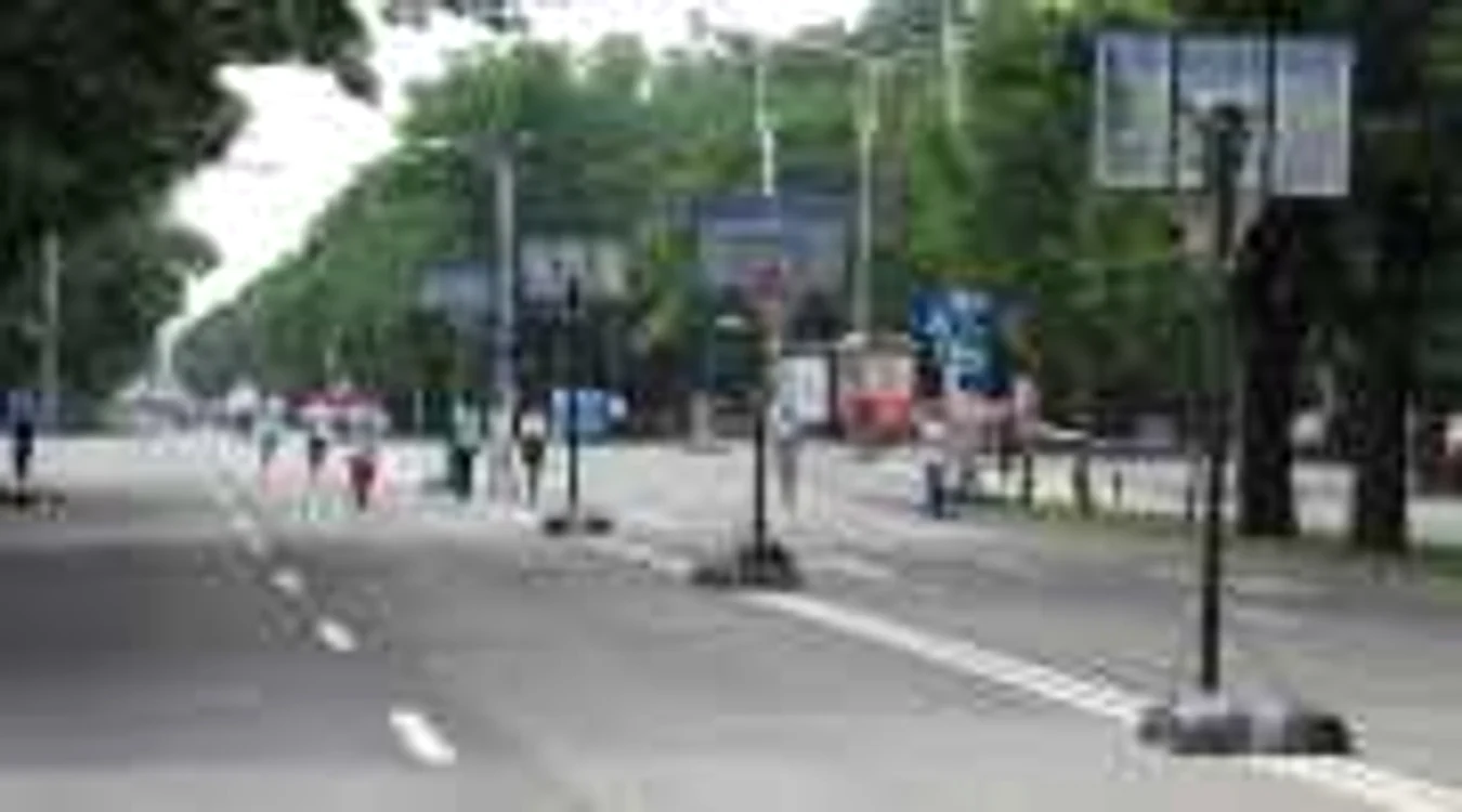 Pe Bulevardul Castanilor nu vor mai circula masini in weekend