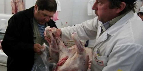 Preţul unui kilogram de carne de miel poate ajunge şi la 25 de lei