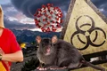 banner dana sacuica jpg