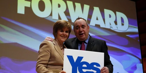 referendum scotia reuters