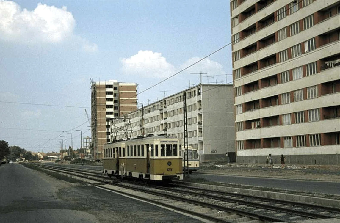 Din albumul bunicilor FOTO PMT