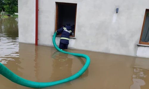 inundatii timis jpeg