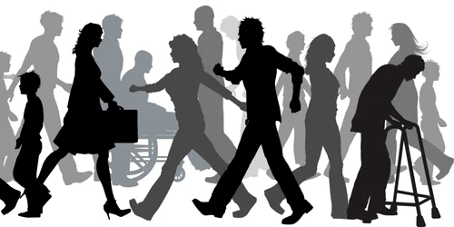 desen foto shutterstock