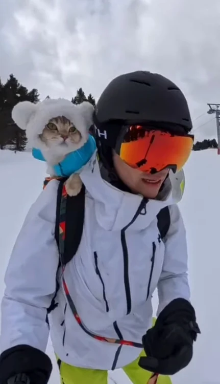 Lazar Joksimovic a schiat cu Louie (foto: Instagram)