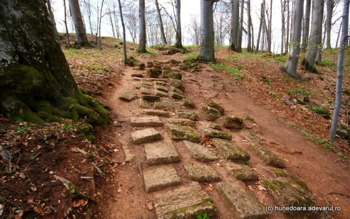 cetatea piatra rosie foto daniel guta adevarul