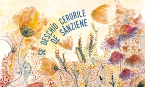 Se deschid cerurile de Sînziene jpeg