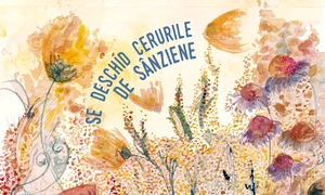 Se deschid cerurile de Sînziene jpeg