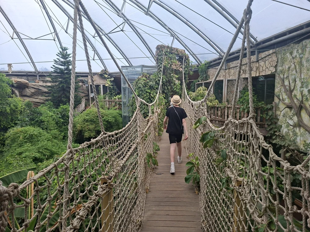 Plimbare pe un pod de sfoară
