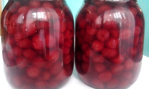 visine pentru iarna jpeg