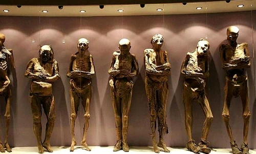 Muzeul Mütter: un loc macabru jpeg