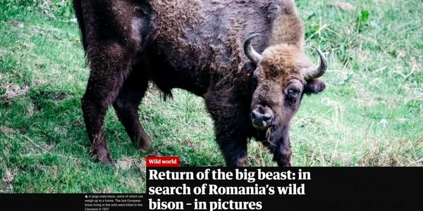 zimbri fagaras reportaj the guardian foto the guardian