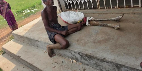 jitu munda schelet jpg