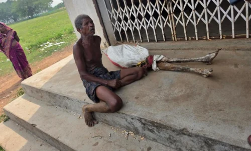 jitu munda schelet jpg