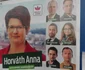 afise electorale cluj foto