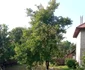 buzau