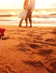 1 shutterstock 102752828 jpg jpeg