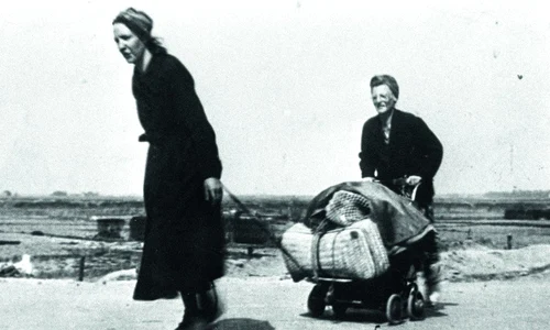 Bulbii de lalele, simbolul supravieţuirii olandezilor în timpul celui de al Doilea Război Mondial jpeg