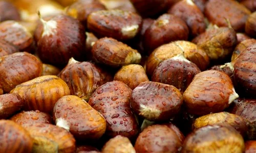 castane click jpeg