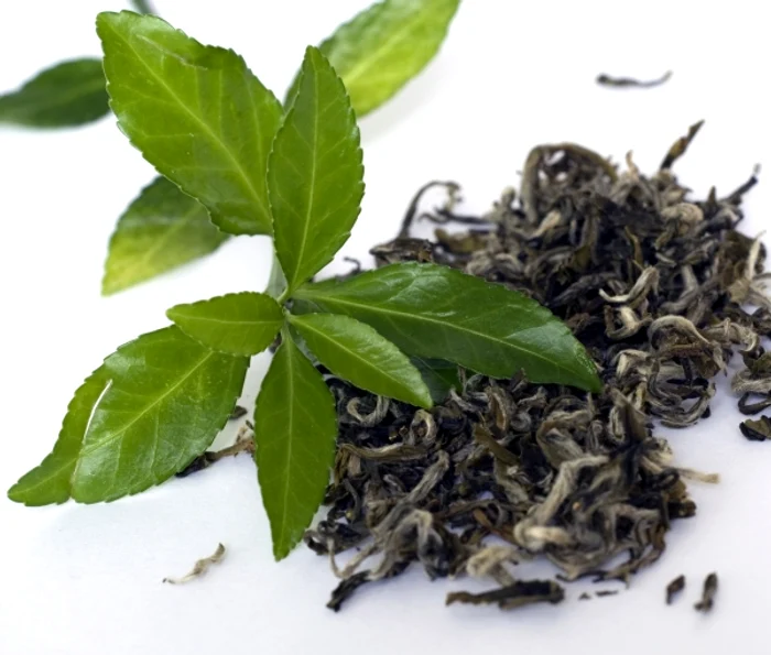 Ceaiul verde este o excelentă sursă de antioxidanţi şi reduce efectele depresiei.www.clicksanatate.ro