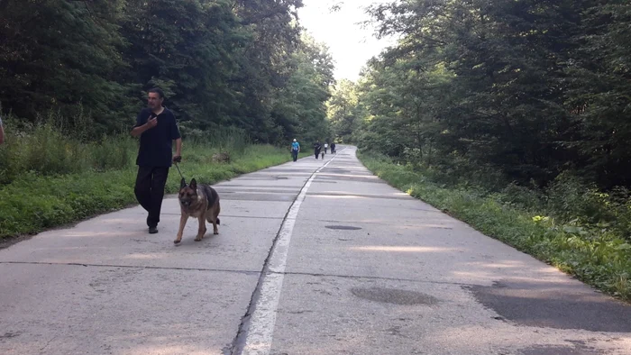 Forţele de ordine îl caută pe bucătarul criminal de la Făget FOTO Ş.Both