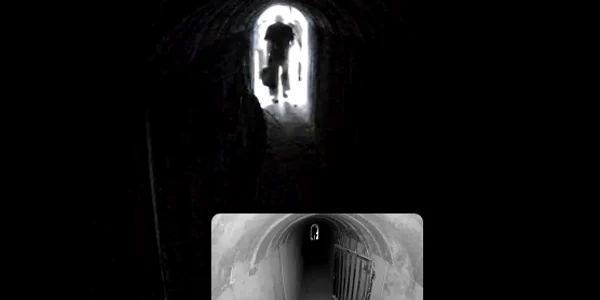 Captură de ecran 2024 02 14 114317 png