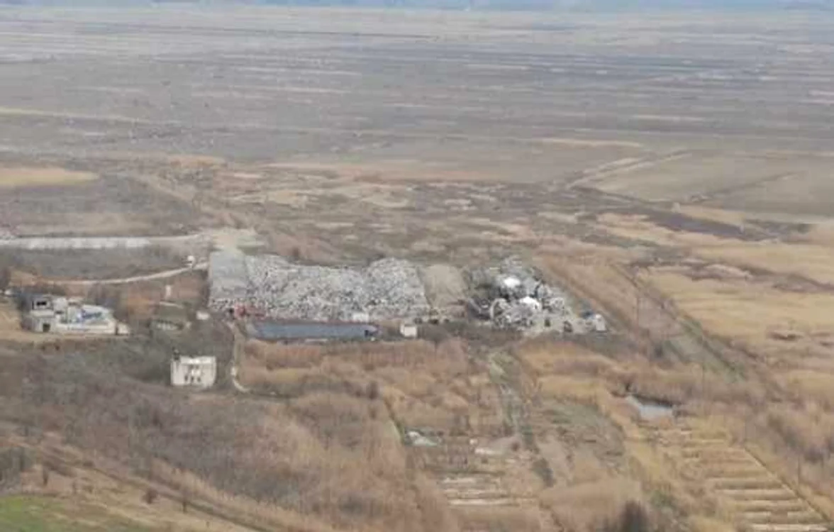 Ulmeni